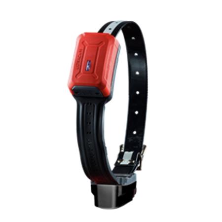 OBROŻA GPS TRACKER R10I 4G IOT/2G