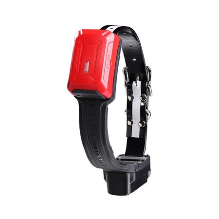 OBROŻA GPS TRACKER R10I 4G IOT/2G