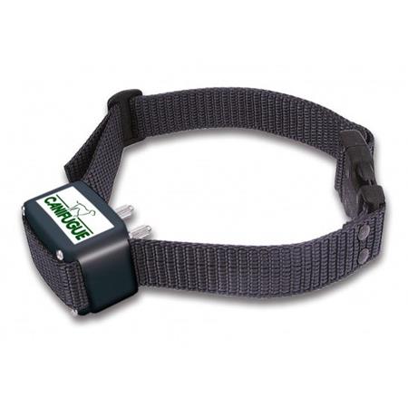 ONZICHTBARE OMHEINING NUMAXES CANIFUGUE 1 HALSBAND + PVC HALSBAND CADEAU