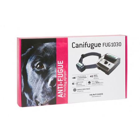 ONZICHTBARE OMHEINING NUMAXES CANIFUGUE 1 HALSBAND + PVC HALSBAND CADEAU