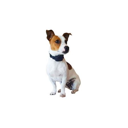 ONZICHTBARE OMHEINING NUMAXES CANIFUGUE SMALL