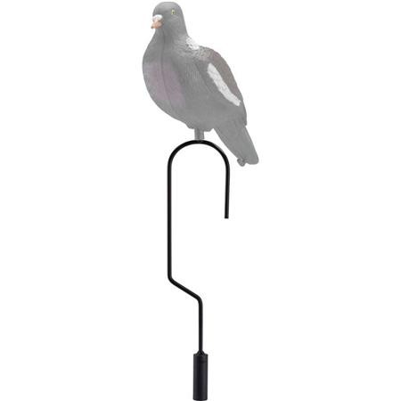Op Te Hangen Steun Europ Arm Voor Duif Lokvogel
