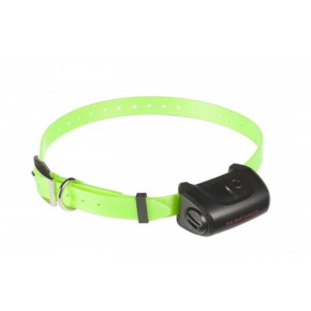 PACCHETTO COMPLETO NUMAXES CANICOM 5.800 2 CANI