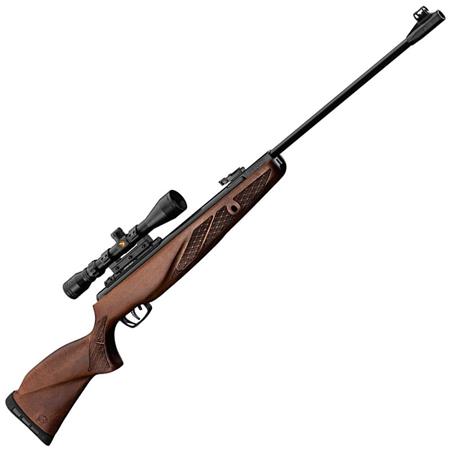 Pack Carabine A Plomb Gamo Grizzly 1250 - Lunette 3-9X40wr