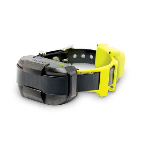 Pack Clôture Anti-Fugue Virtuelle Dogtra Gps Fence