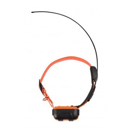 PACK COLLIER DE REPÉRAGE NUMAXES CANICOM GPS