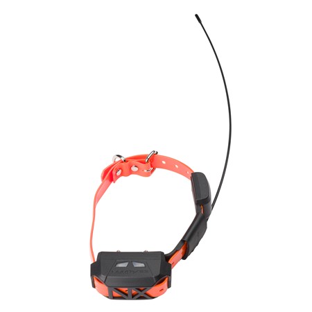 PACK COMPLET TÉLÉCOMMANDE + COLLIER CANICOM GPS MINI