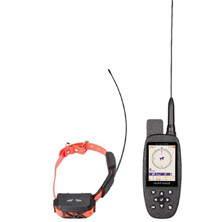 Pack Complet Télécommande + Collier Canicom Gps Mini