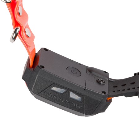 PACK COMPLETO TELECOMANDO + COLLARE NUMAXES CANICOM GPS MINI