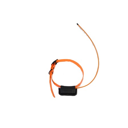 PACK GARMIN COLLIER DC40 + TÉLÉCOMMANDE ASTRO 320 ET CARTE V3 SUD EST - PACK OCCASION
