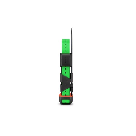 PACK GARMIN TÉLÉCOMMANDE ALPHA 200 I F + COLLIER DE REPÉRAGE ET DRESSAGE TT25 F