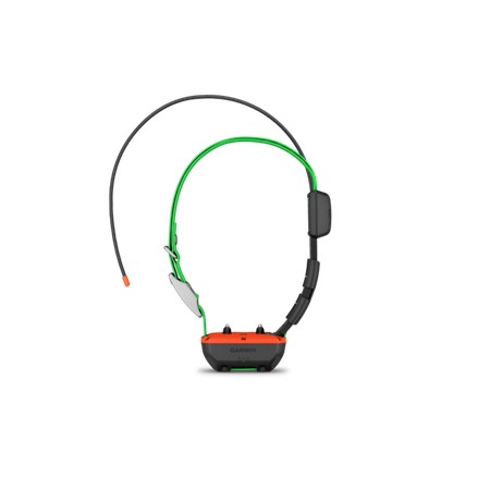 PACK GARMIN TÉLÉCOMMANDE ALPHA 200 I F + COLLIER DE REPÉRAGE ET DRESSAGE TT25 F
