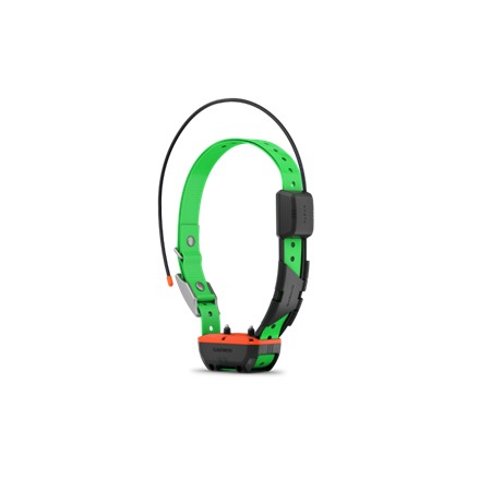 PACK GARMIN TÉLÉCOMMANDE ALPHA 200 I F + COLLIER DE REPÉRAGE ET DRESSAGE TT25 F
