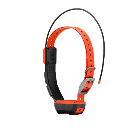 PACK GARMIN TÉLÉCOMMANDE ALPHA 300 F AVEC COLLIER DE REPÉRAGE T20F
