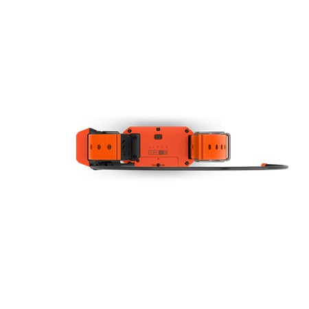 PACK GARMIN TÉLÉCOMMANDE ALPHA 300 F + COLLIER DE REPÉRAGE ET DRESSAGE T20