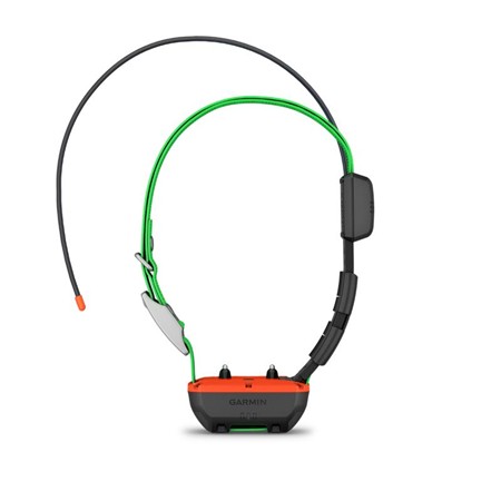 PACK GARMIN TÉLÉCOMMANDE ALPHA 300 F + COLLIER DE REPÉRAGE ET DRESSAGE TT25 F
