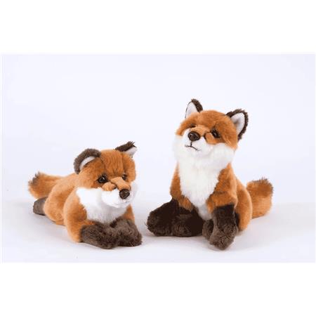 Pair Of Foxes Nature De Brenne