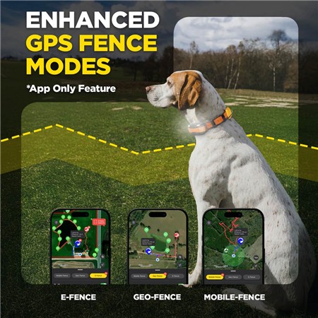 PAKKE MED GPS-SPORINGSHALSBÅND DOGTRA PATHFINDER2 COMPASS