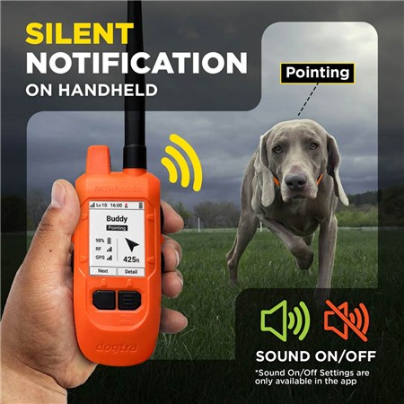 PAKKE MED GPS-SPORINGSHALSBÅND DOGTRA PATHFINDER2 COMPASS