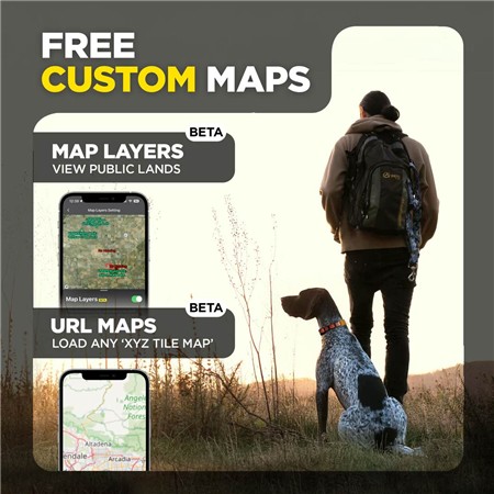 PAKKE MED GPS-SPORINGSHALSBÅND DOGTRA PATHFINDER2 COMPASS