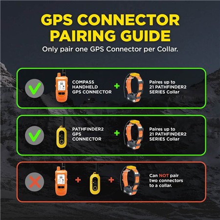 PAKKE MED GPS-SPORINGSHALSBÅND DOGTRA PATHFINDER2 COMPASS