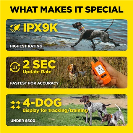 PAKKE MED SPORINGSHALSBÅND DOGTRA PATHFINDER2 MINI COMPASS