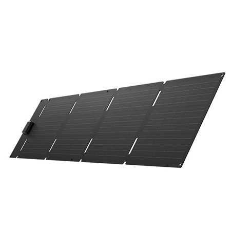 Pannello Solare Portatile Ecoflow 60W Type C