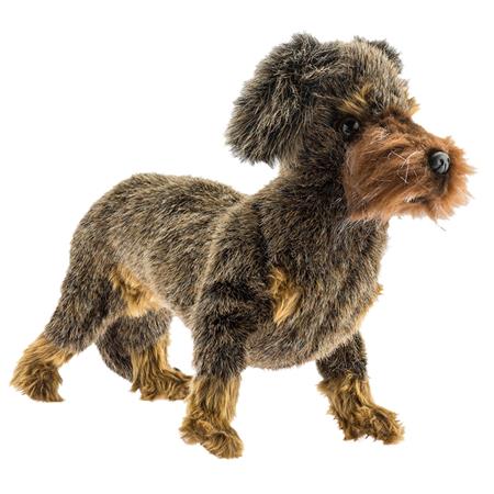 Peluche Europ Arm Teckel A Pelo Duro In Piedi