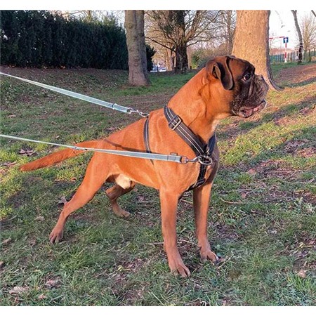 PETTORINA DIFAC ANTI-TRAZIONE RIFLETTENTE