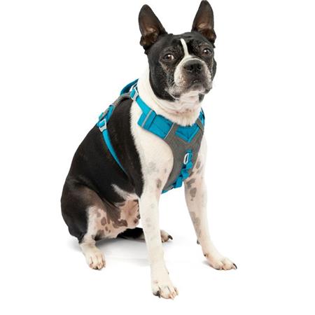 PETTORINA KURGO JOURNEY AIR - BLU