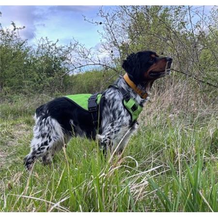 PETTORINA WILD TRACKER X-COLOR