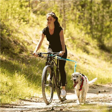 PEZZO FISSAGGIO PIVOT A L I-DOG PER BARRA CANIVTT LINK GAMME ALM