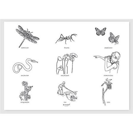 PLACEMATS BINGO COLLECTION NATURE