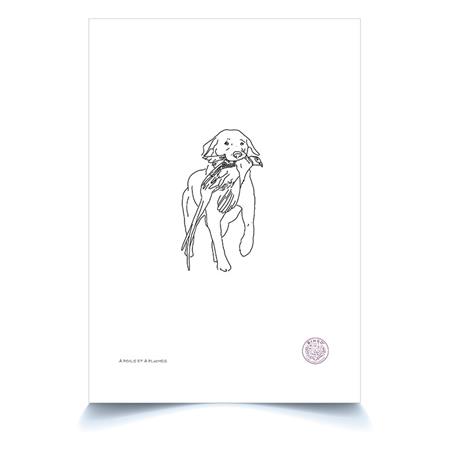 Plakat Bingo Collection A4