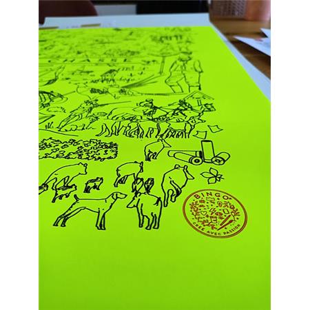 PLAKAT BINGO COLLECTION CHASSE - FLUORESCERENDE