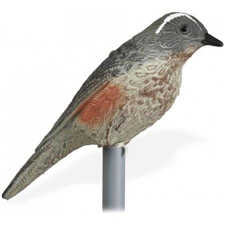 Plastic Decoy Stepland Hd Grive Mauvis