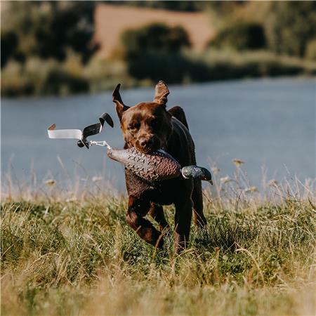 PORTABLE EUROHUNT PHEASANT HP&G