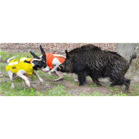 ΠΡΟΣΤΑΤΕΥΤΙΚΌ ΓΙΛΈΚΟ CANIHUNT DOG ARMOR PRO CANO ΚΊΤΡΙΝΟ
