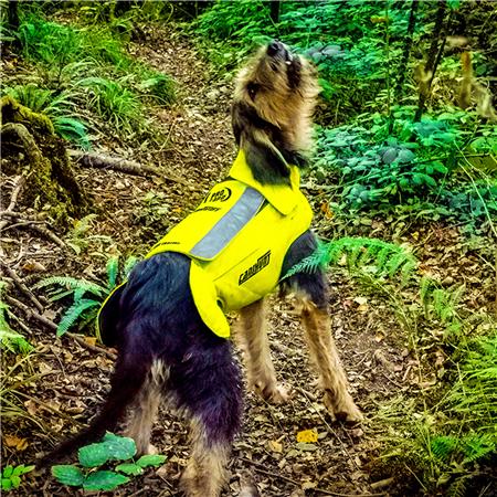 ΠΡΟΣΤΑΤΕΥΤΙΚΌ ΓΙΛΈΚΟ CANIHUNT DOG ARMOR PRO CANO ΚΊΤΡΙΝΟ