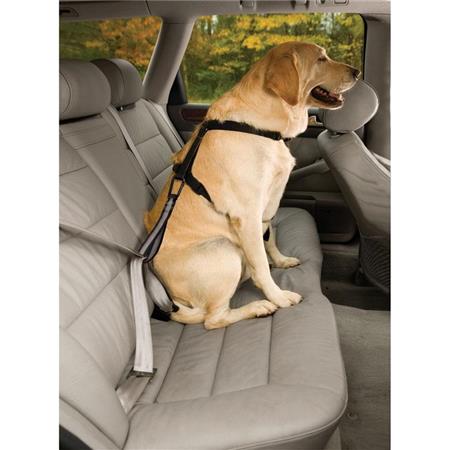 Προστατευτικόσ Ιμάντασ Kurgo Seatbelt
