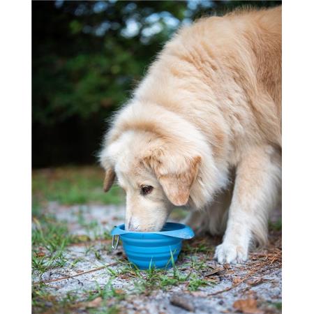 ΠΤΥΣΣΌΜΕΝΟ ΜΠΟΛ KURGO COLLAPS A BOWL