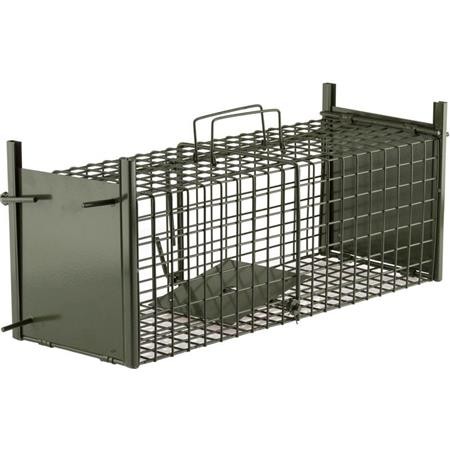 Pułapka Przejściowa Europ Arm 2 Wejścia