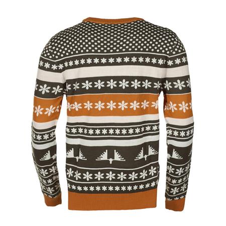 PULL VOOR MANNEN SWEDTEAM FROST - SWEDTEAM VERT