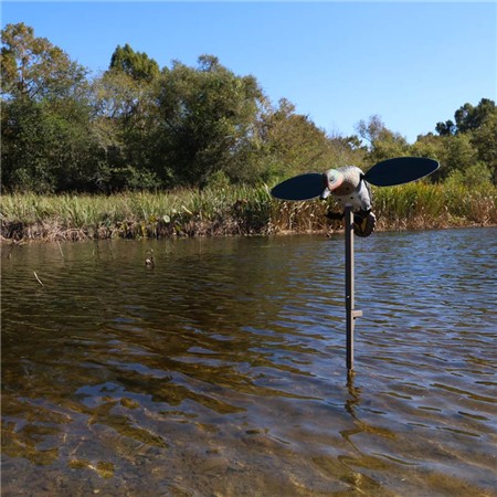 RECLAMO MOJO - SARCELLE D'HIVER