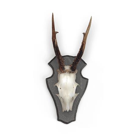 REHSCHUBS-SET EUROHUNT CHÊNE 1 AVEC CLIPS EN MÉTAL - 10ER PACK
