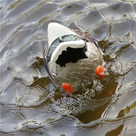 RICHIAMANTE MOJO BUTT-UP RIPPLER 2