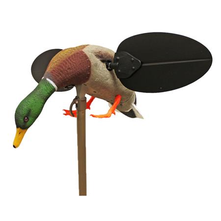 Richiamante Mojo Canard Colvert Un3481