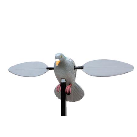 Richiamante Stepland Pigeon À Ailes Tournantes Rotor