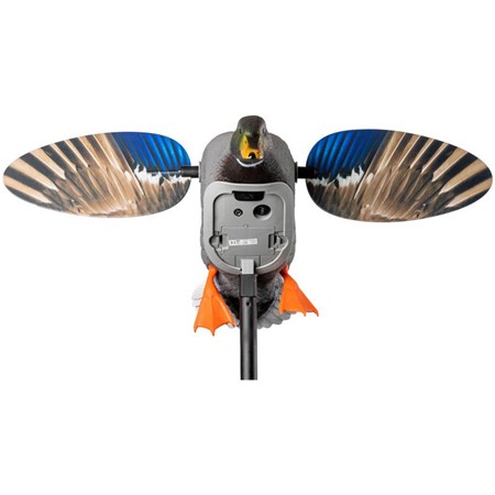 RICHIAMO MOJO ELITE SERIES CON BATTERIE LI-ION - PATO REAL - GERMANO REALE