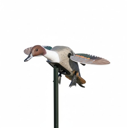 Richiamo Mojo Elite Series - Pilet